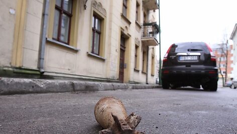 Klaipėdoje prie daugiabučio aptiktas sprogmuo