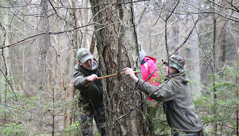 Žinomas istorikas ir partizaninių kovų tyrinėtojas Vykintas Vaitkevičius kartu su LDK Kęstučio šaulių 7-osios rinktinės šauliais šukavo Šimkaičių girią. 