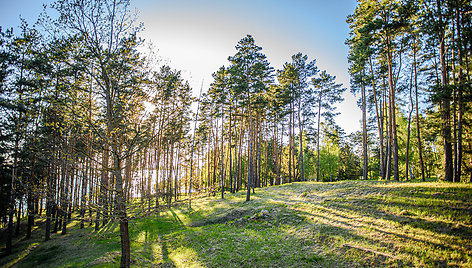 Sklypas Jakštonyse