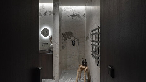 Apartamentų interjeras