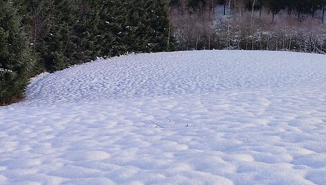 Plungės r. 2025-11-22, 9:26 val.