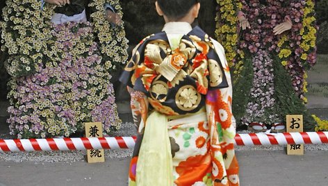 Japonijoje, Tokijuje, vyksta chrizantemų festivalis, kuriame galima išvysti puoštų gėlėmis lėlių.  