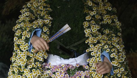 Japonijoje, Tokijuje, vyksta chrizantemų festivalis, kuriame galima išvysti puoštų gėlėmis lėlių.  