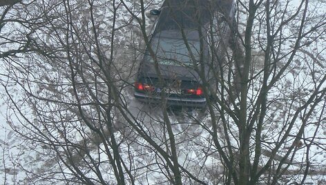 6 pažeidėjai &ndash; 2 &bdquo;Volswagen&ldquo;, BMW, &bdquo;Audi&ldquo;, &bdquo;Mercedes&ldquo; ir &bdquo;Mitsubishi Pajero&ldquo;, važinėję per pievas bei pėsčiųjų takus.