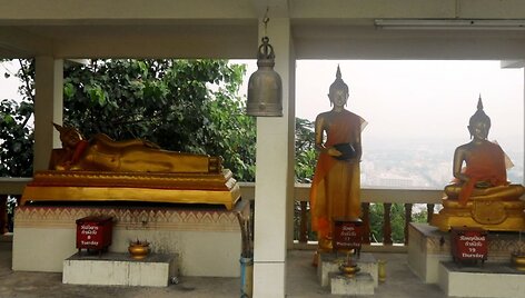 Pataja
