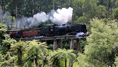 Senovinis garo traukinys „Puffing Billy“