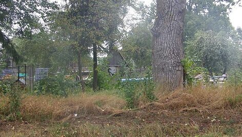 Pa&scaron;iūrės sieną &bdquo;puo&scaron;iantis&ldquo; nuo kelio matomas Leninas iki &scaron;iol pareigūnams neužkliuvo.