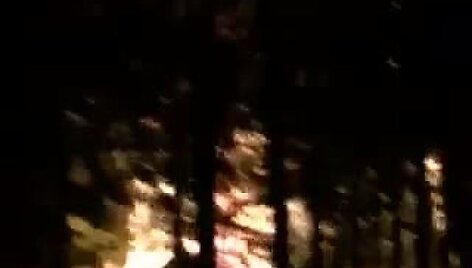 59870b2a8ab33video_59870b271844f