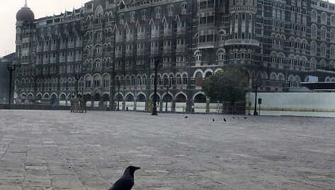 Taj Mahalas