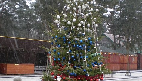 Į Palangą jau užsuko tikroji žiema.