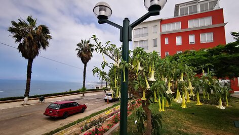 Įspūdingi Limos vaizdai: Miraflores ir Barranco