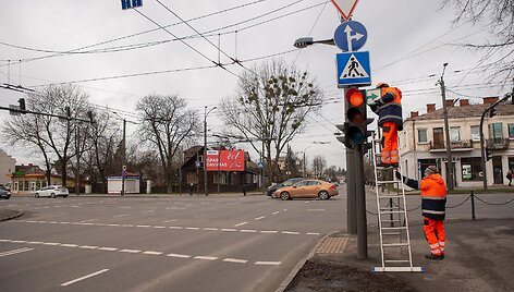 Žaliosios rodyklės Kaune