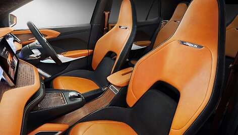 &bdquo;&Scaron;koda&ldquo; koncepcinis automobilis &bdquo;Vision IN&ldquo;