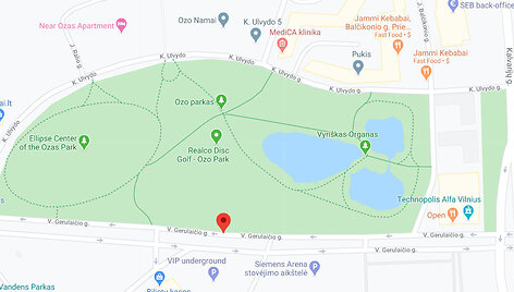 Ežerai, pavadinti Vyri&scaron;ku organu