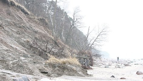 Olandų kepurė Karklės apylinkėse