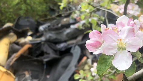 Mirusius automobilius laidoja žemėje