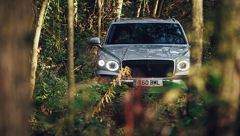&bdquo;Bentley Bentayga V8&ldquo;