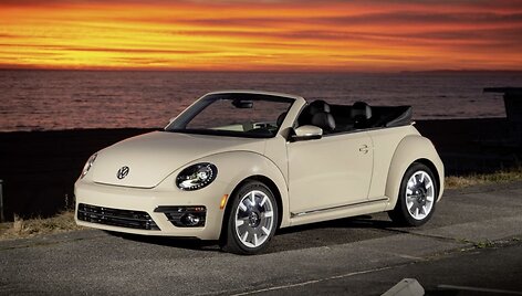 Beetle kabrioletas