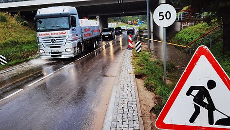 Tvinstantis kelio ruožas ties Avižienių viaduku