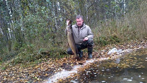 Žūklės laimikis. 8 kg Vido lydeka.