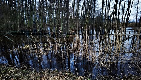 Potvynis Kur&scaron;ių nerijoje