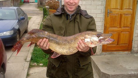 Kazimiro 4 kg lydeka, Perūno ežeras.