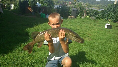 2,5 kg lydeka i&scaron; Nemuno