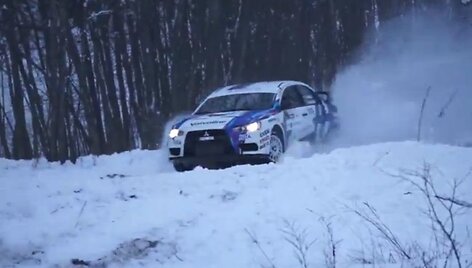 Vytauto &Scaron;vedo klaida