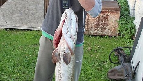 Andriaus S. 15 kg lydeka i&scaron; Nemuno