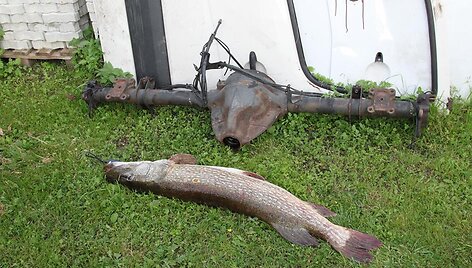 Andriaus S. 15 kg lydeka i&scaron; Nemuno