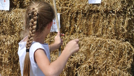 Šeimų festivalis „Naisių vasara 2013“: vaikų pramogos