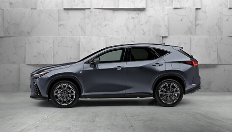 Įkraunamas hibridas Lexus NX 450h