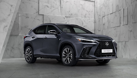 Įkraunamas hibridas Lexus NX 450h