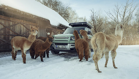 Audrius ir Alma Sutkai kelionę aplink pasaulį tęsia su „Land Rover Defender“