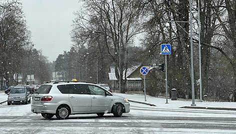 Pūga Druskininkuose