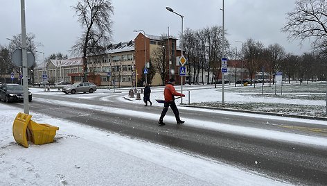 Pūga Druskininkuose