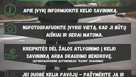 policija-ka-daryti-ivaziavus-i-duobe