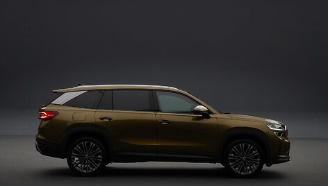 &Scaron;koda Kodiaq (2024)