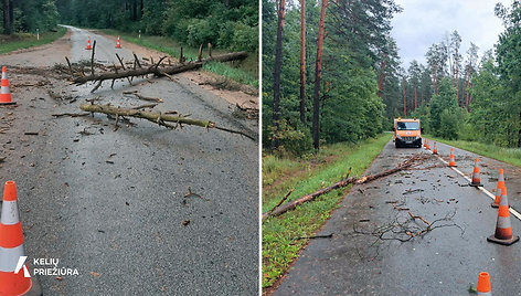 Nuo kelių šalinami medžiai