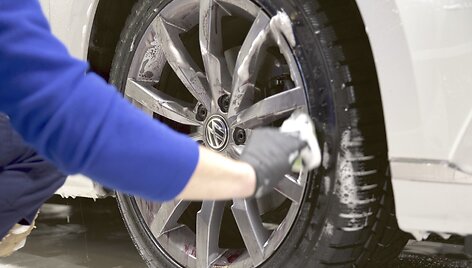 Detalus kėbulo plovimas