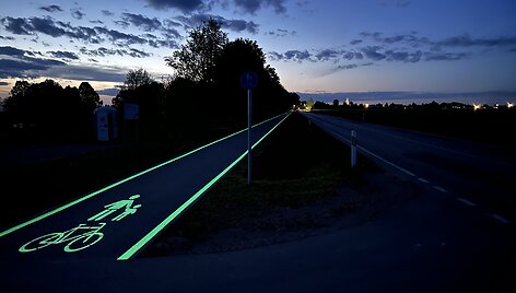 &Scaron;vytintis dviračių takas kelyje Kaunas&ndash;Žeimiai&ndash;&Scaron;ėta