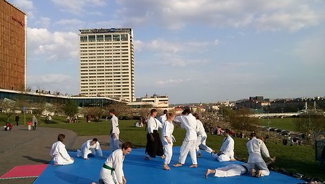 Aikido prie Vilniaus sakurų