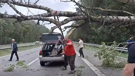 Medžio &scaron;alinimas automagistralėje A1 po audros