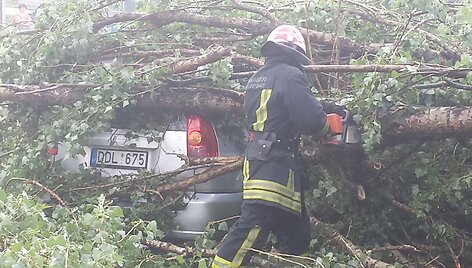 Žirmūnuose medis prispaudė automobilį