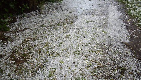 Vasaros kru&scaron;a Dubingiuose