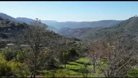56545577eafb1video_5654557086096