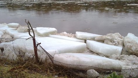 Kiekvienais metais Neries ledai išlipa į krantą 