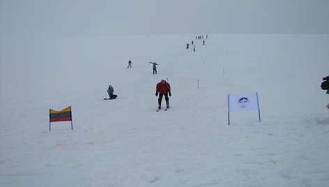 Pasaulio lietuvių ekspedicija į Antarktidą