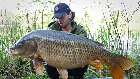 Donato 18,1 kg karpis