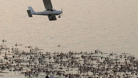 Fotomenininko Spencerio Tunicko fotosesija prie Negyvosios jūros